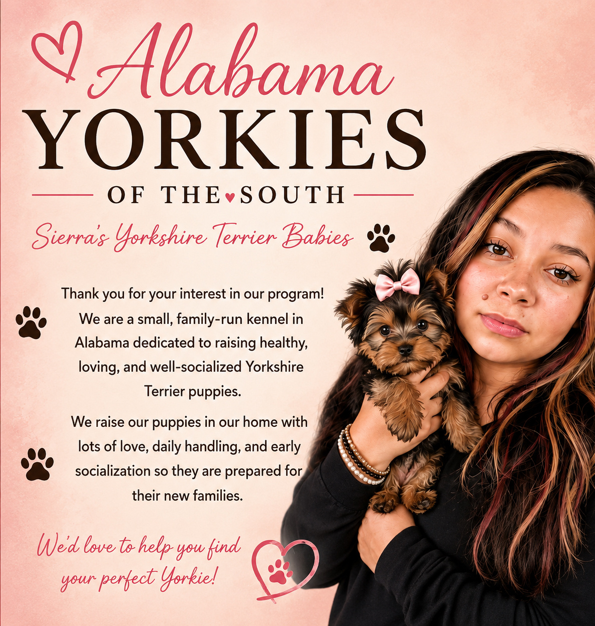 Alabama Yorkies of the South Sierra’s Yorkshire Terrier Babies